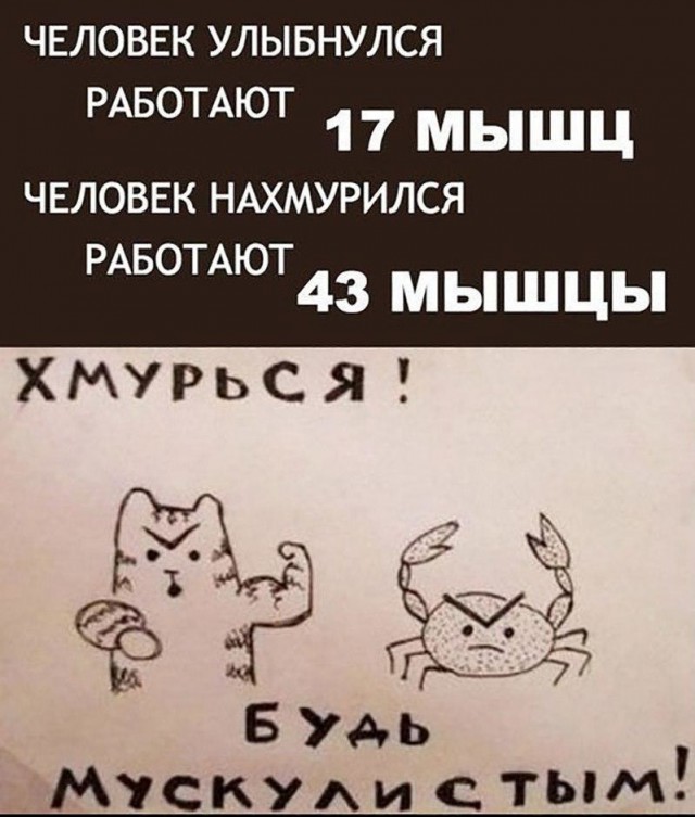 О российском хамстве