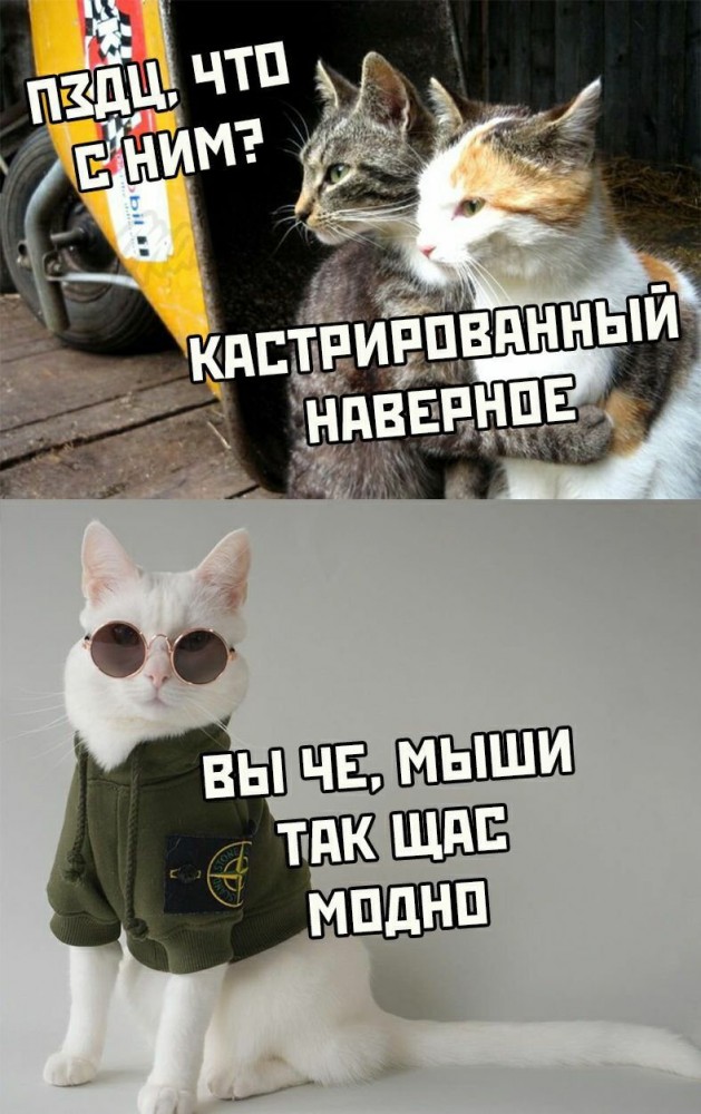 Комментарии, картинки всякие