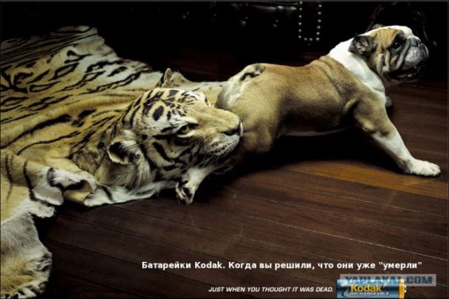 Классная реклама