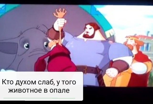 Игравший кошкой в боулинг пермяк пожаловался на травлю