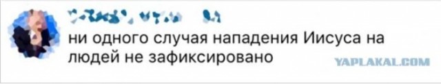 Так себе картинки 25.05.22