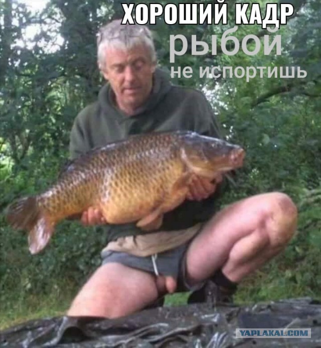 Итог рыбалки несколько рыбов