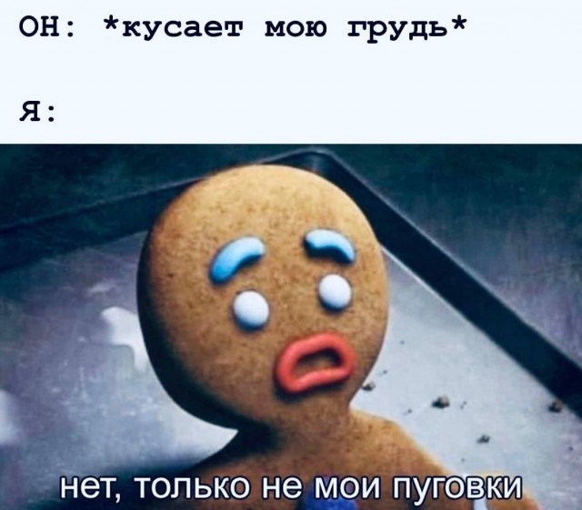 Картинки из рабочего чата 25.06