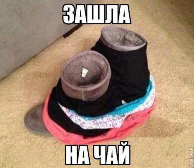 Так себе картинки 26.08.22