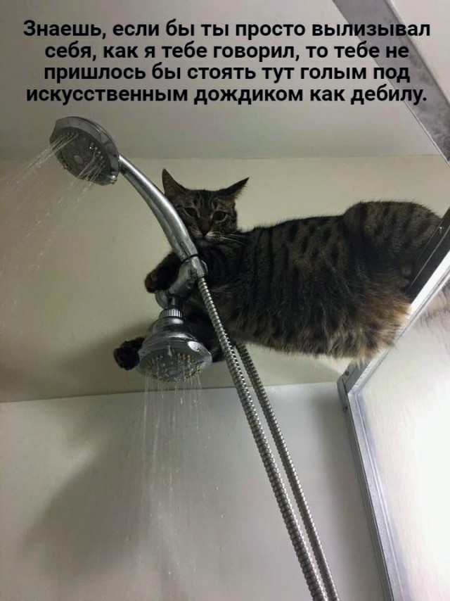 Немного картинок для настроения - 131