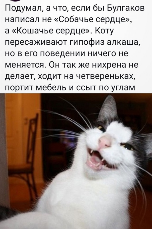 Так себе картинки 07.09.22