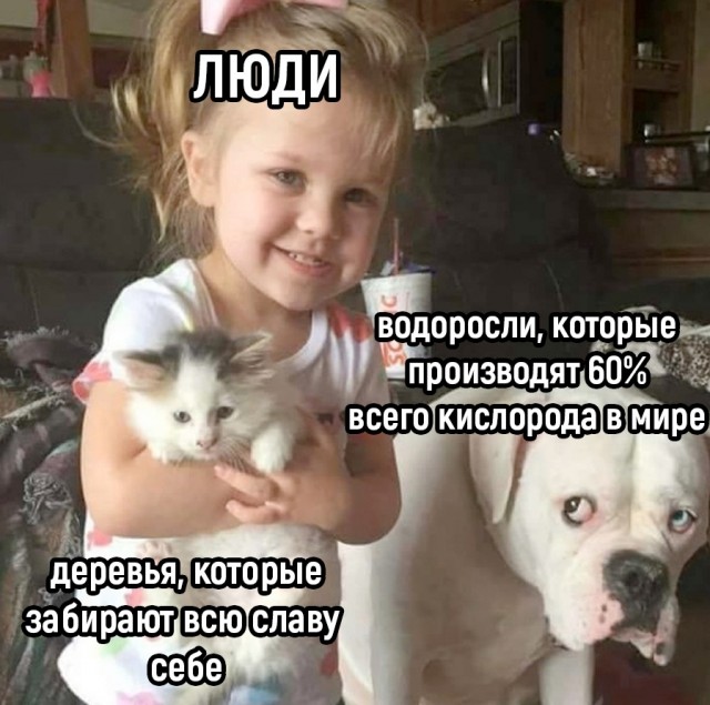 Так себе картинки 21.09.22