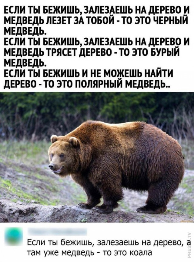 Картинки и мемы для настроения - 111