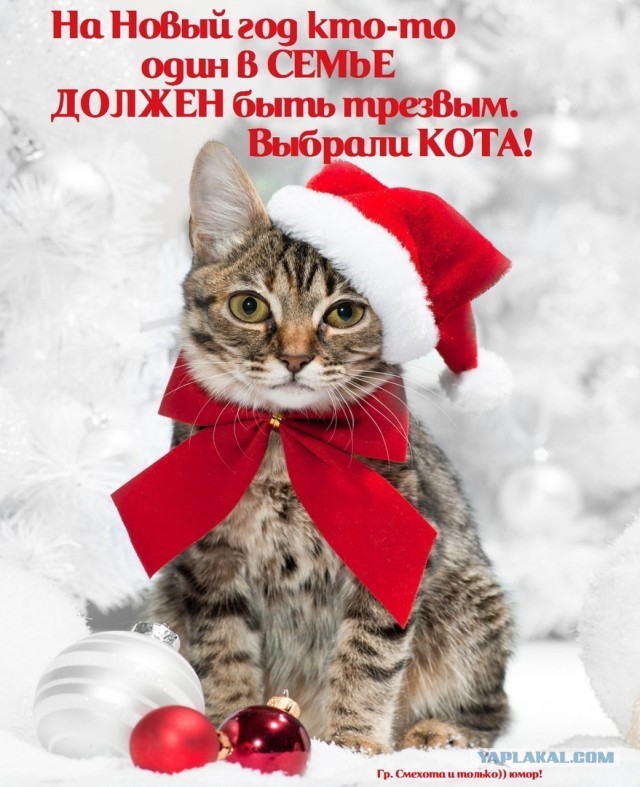 У будущей жены должна быть квартира и машина