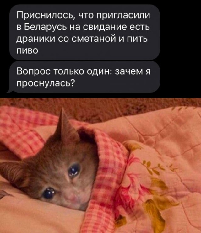 Картинки и мемы для настроения - 015