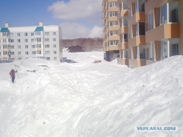 Весна на Камчатке