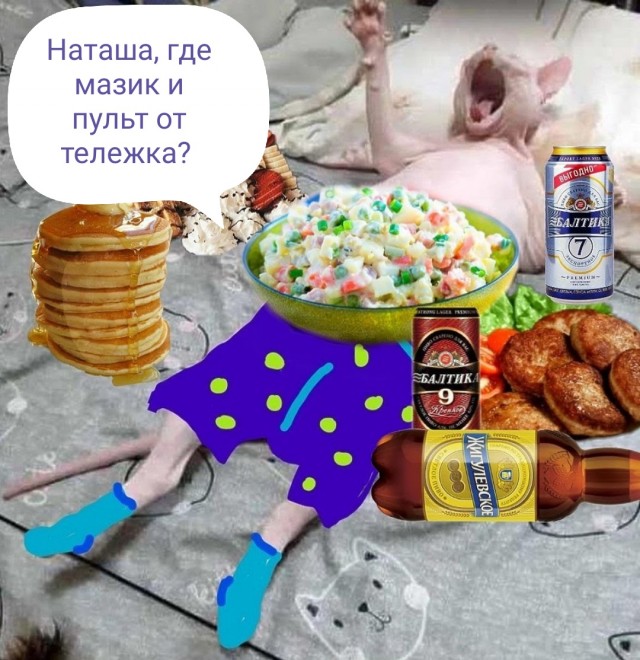 Забавные комментарии из социальных сетей (13.02.23)