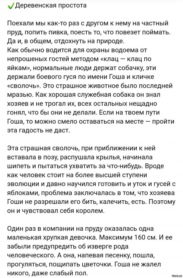Забавные комментарии из социальных сетей (17.07.23)