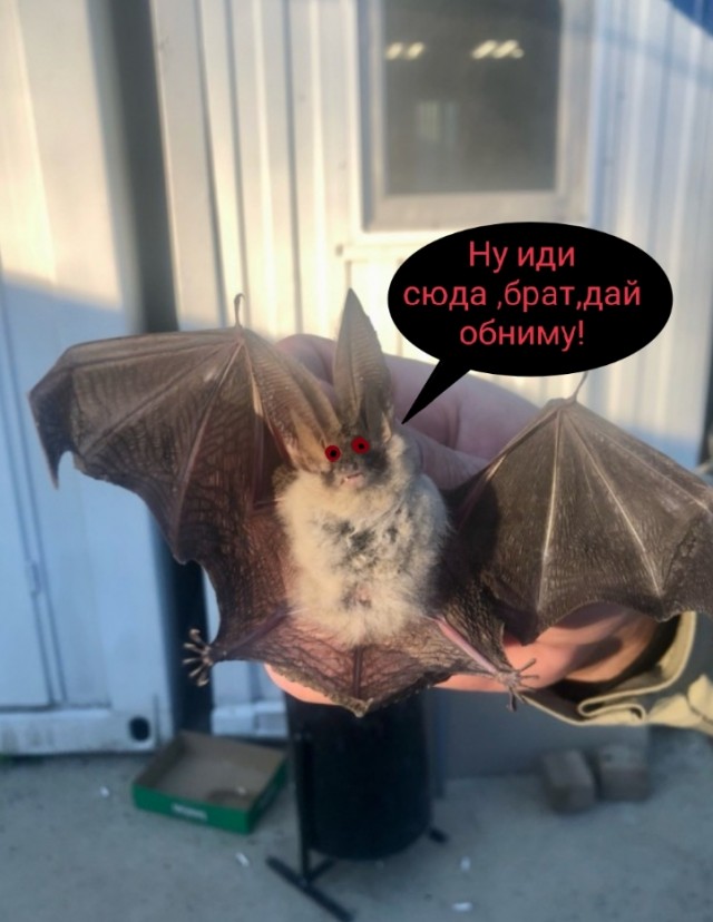 Неожиданное соседство на работе