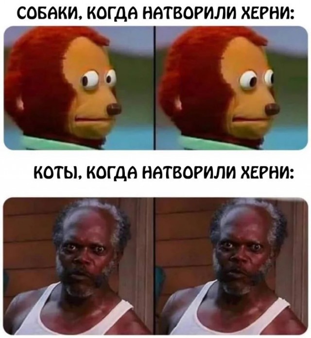 Приколы с налетом деградации