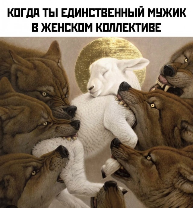 Весёлый полтишок 18.12.2023