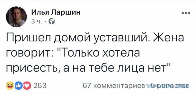 40 пятничных картинок 29.12.2023