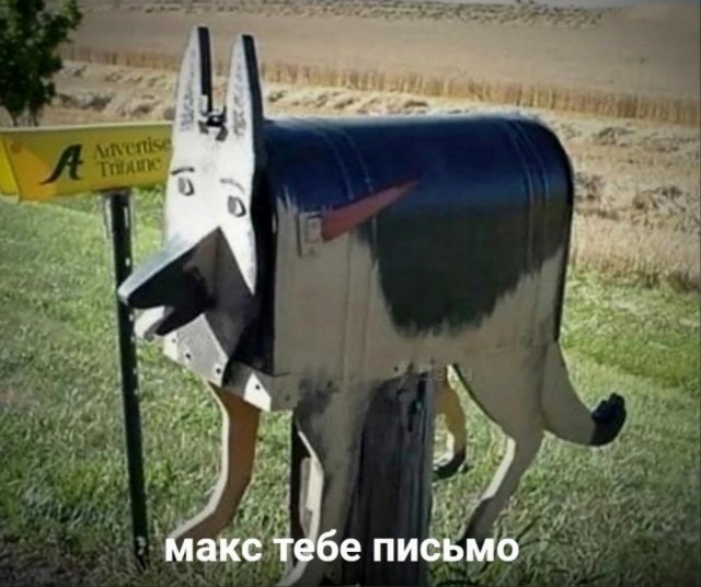 Никакие картинки
