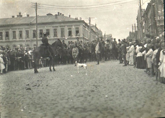1917-1920. Из архива генерала Антона Ивановича Деникина