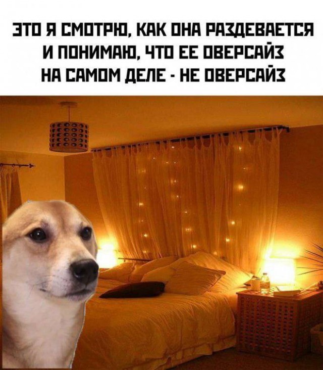 Всего понемногу. От 21.11.2024.