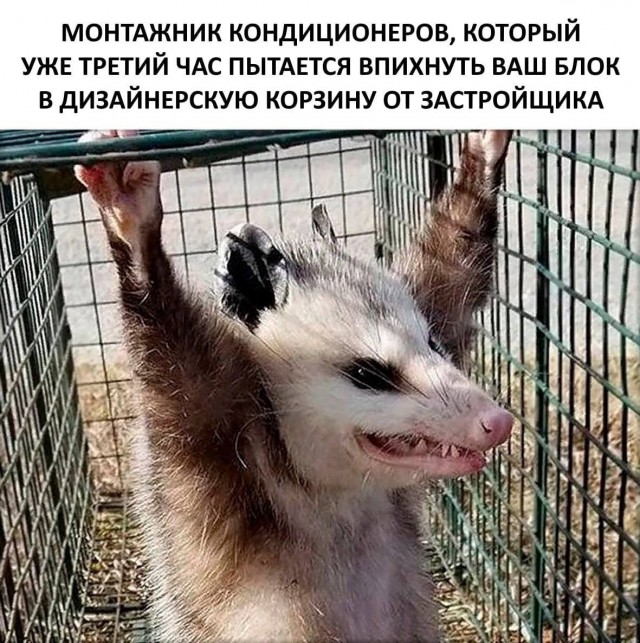 Народная меДИЧина 7030