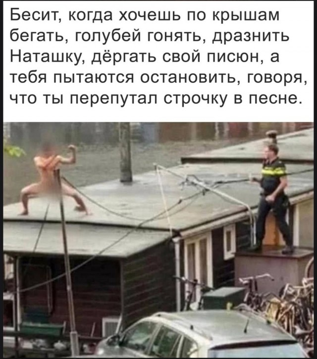Падонги, кину чуть картинок. 10 штук