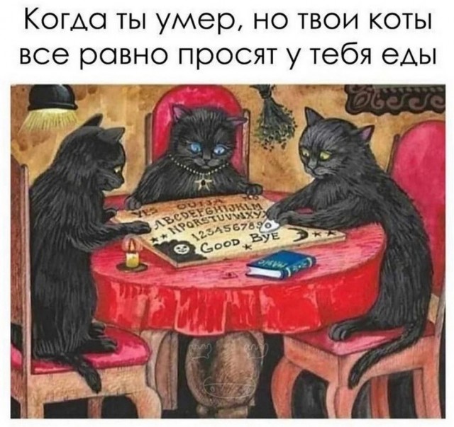 ТРРРидцать тРРРи от 26 мая