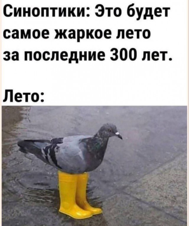 Почему так холодно?