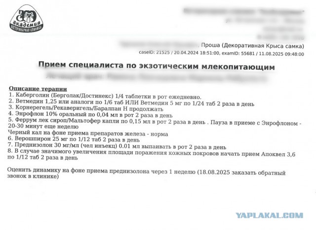 Посоветуйте по крысам!