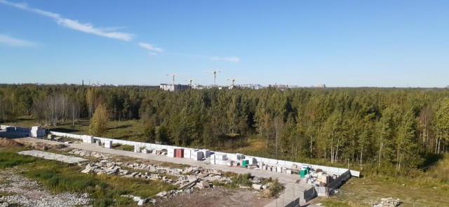 Москвичка переехала из новостройки в старый фонд и совсем ни о чем не жалеет