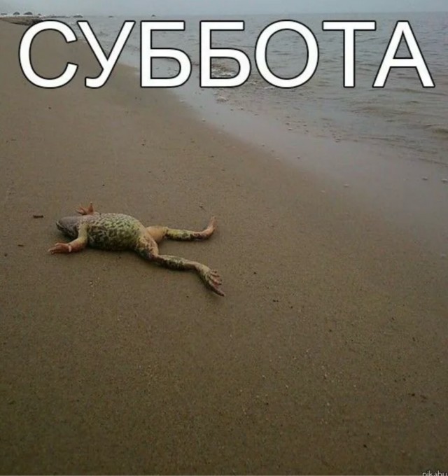 Веселое настроение в картинках 18.10.25