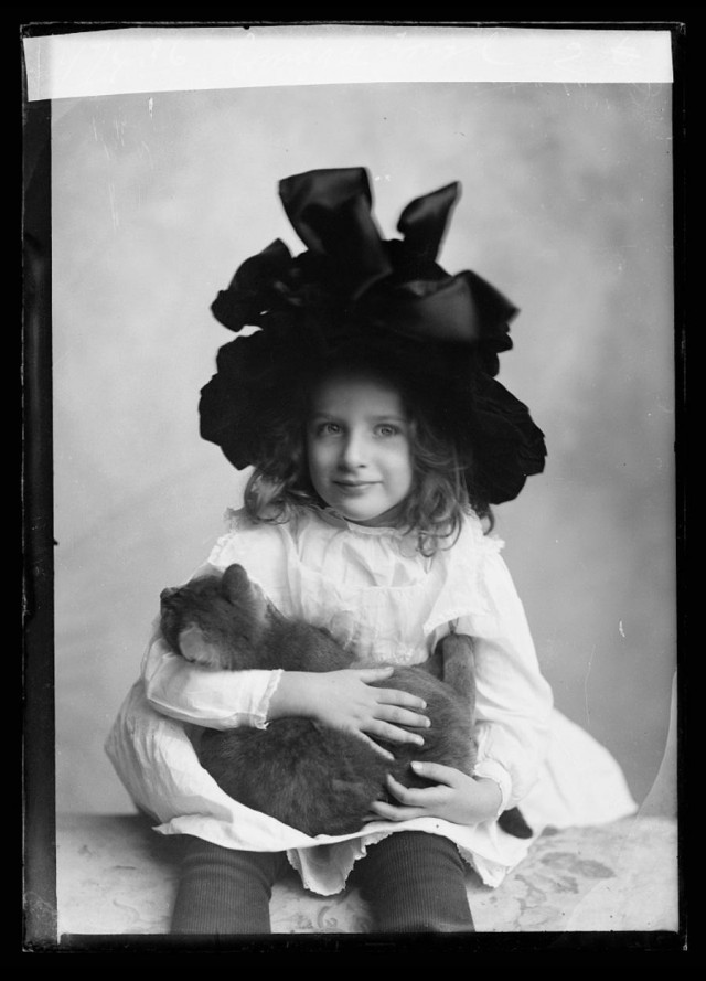 Антикварное для котовторника