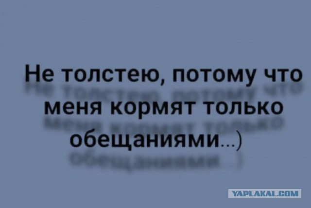 Отличного дня!
