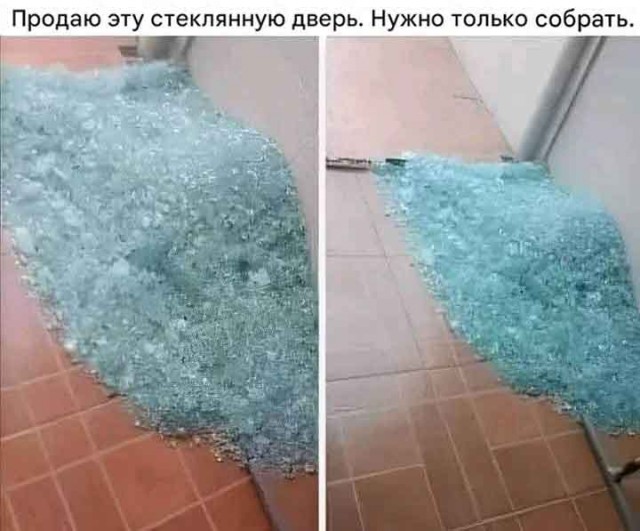Веселые картинки в маленькую пятницу (24.12)