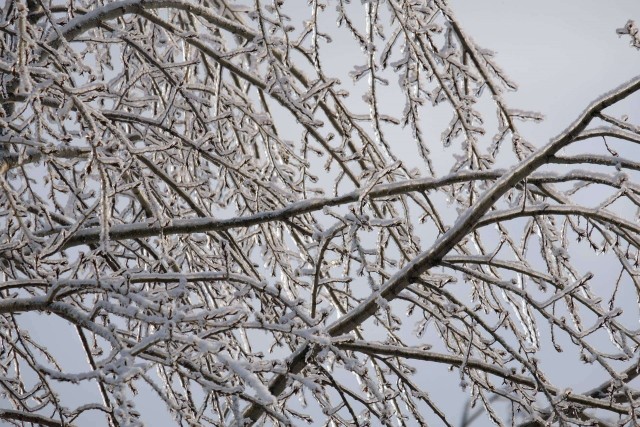 Зимняя дорога