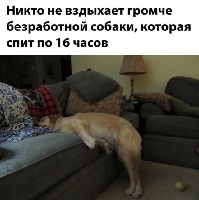 Воскресные картинки