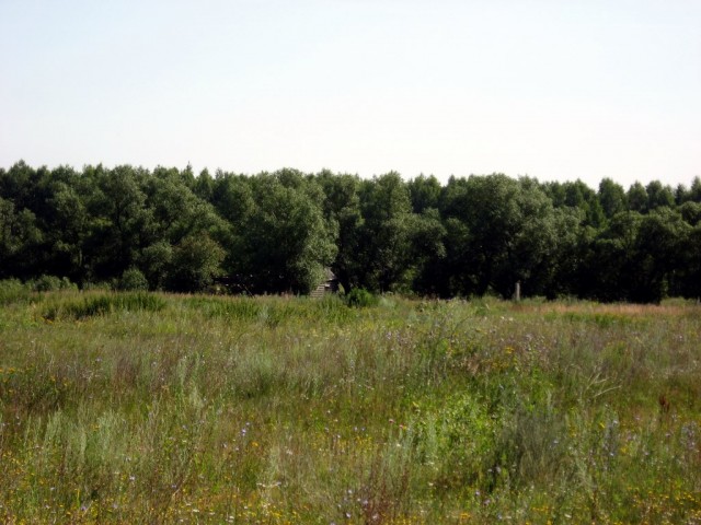 Поездка на Тамбовщину