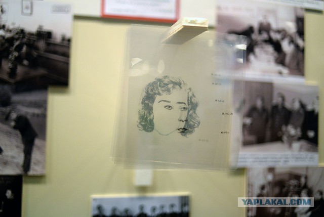 Медаль за пьянство, людоедство и "Черная кошка"