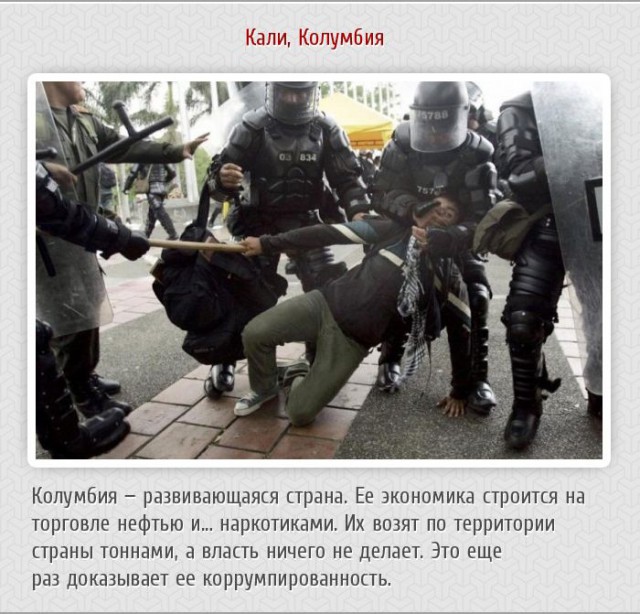 20 фактов обо всем