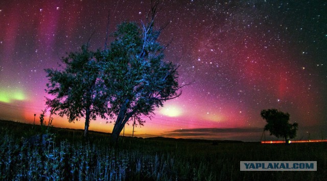 National Geographic,избранное...