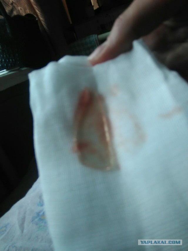 I need help! найти вора или то что он украл.