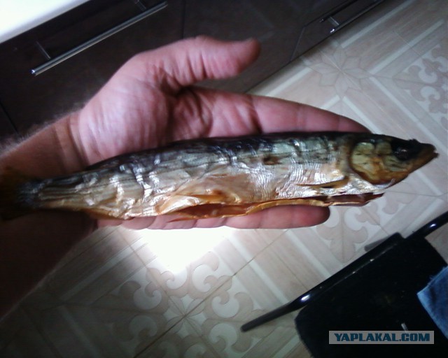 Закуски к пиву,чем мы закусываем