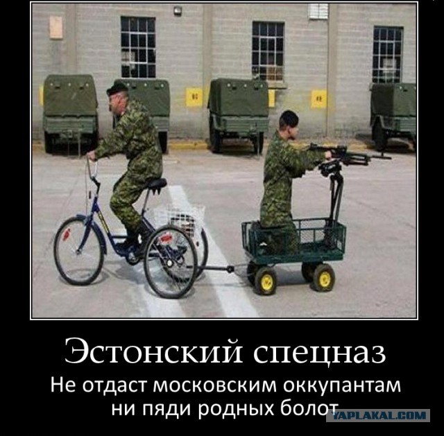 Официальный Таллин призывает граждан "запасаться шпротами и сушить сухари" на случай вторжения