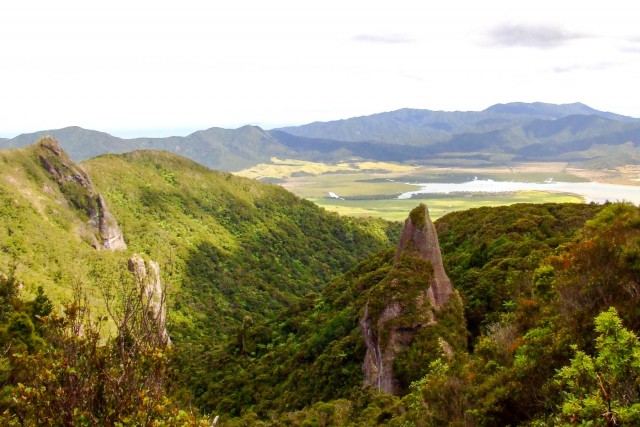 Great Barrier Island. Новая Зеландия.