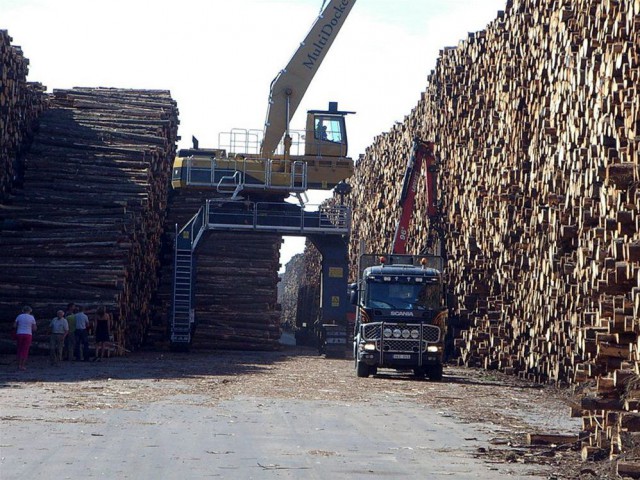 Гигантские залежи древесины в Швеции