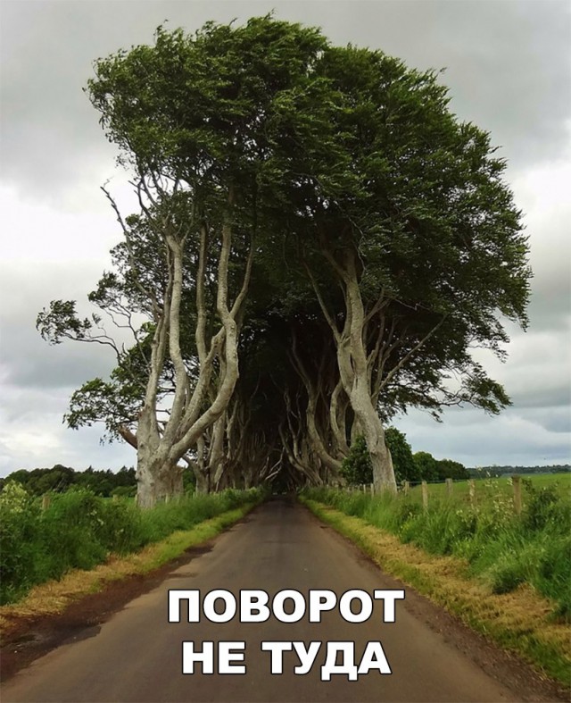 Забавных картинок не хотите ли?