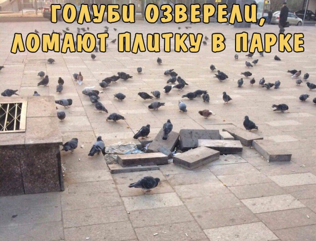 Большая подборка картинок на вечер