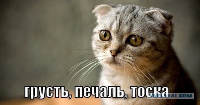 Лига Европы 2018-2019.