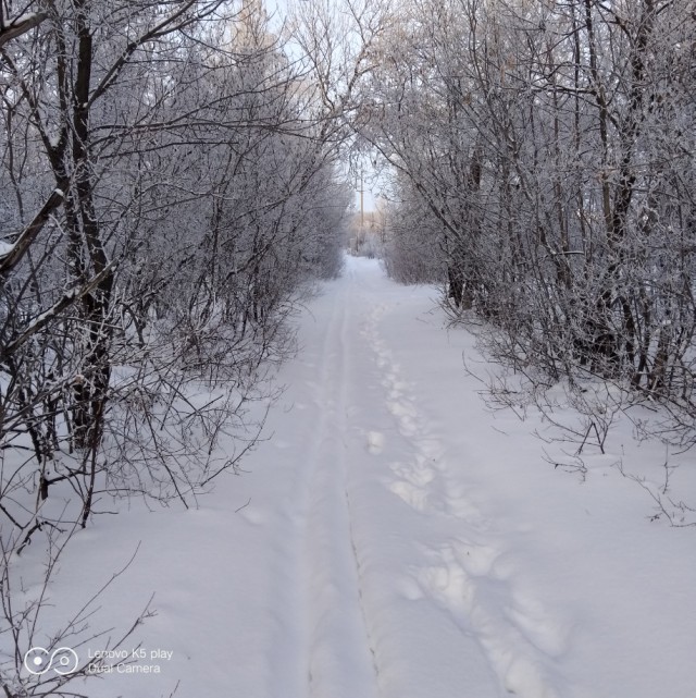 Продаётся дом в пригороде Оренбурга.