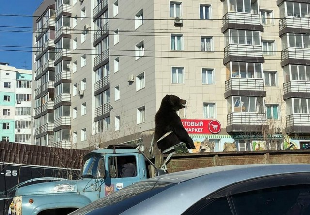 Удивительные снимки с российских просторов 07.04.19